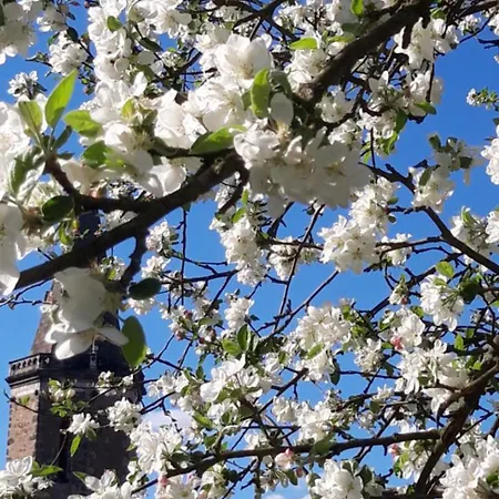 Bobrowe Zacisze Lägenhet *