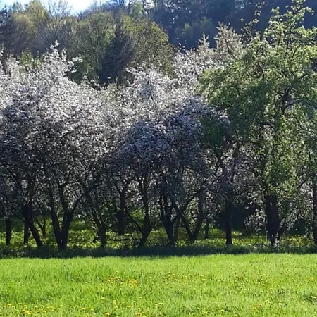 Lägenhet Bobrowe Zacisze Wlen
