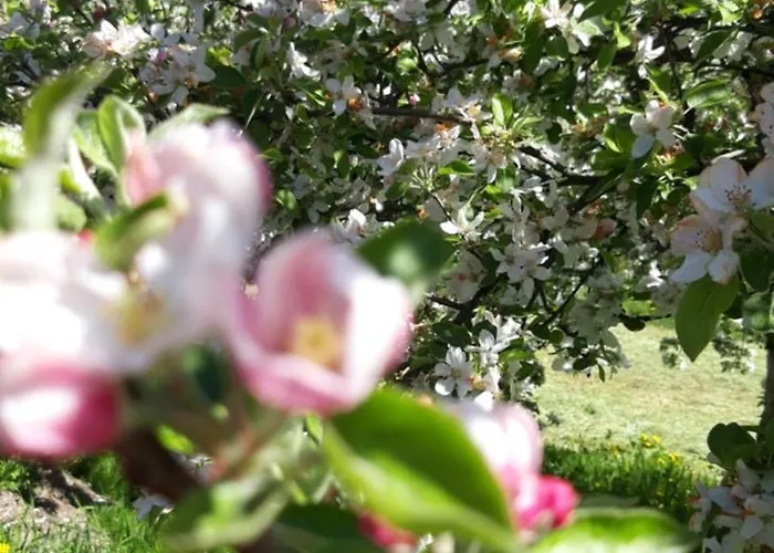 Bobrowe Zacisze Wlen